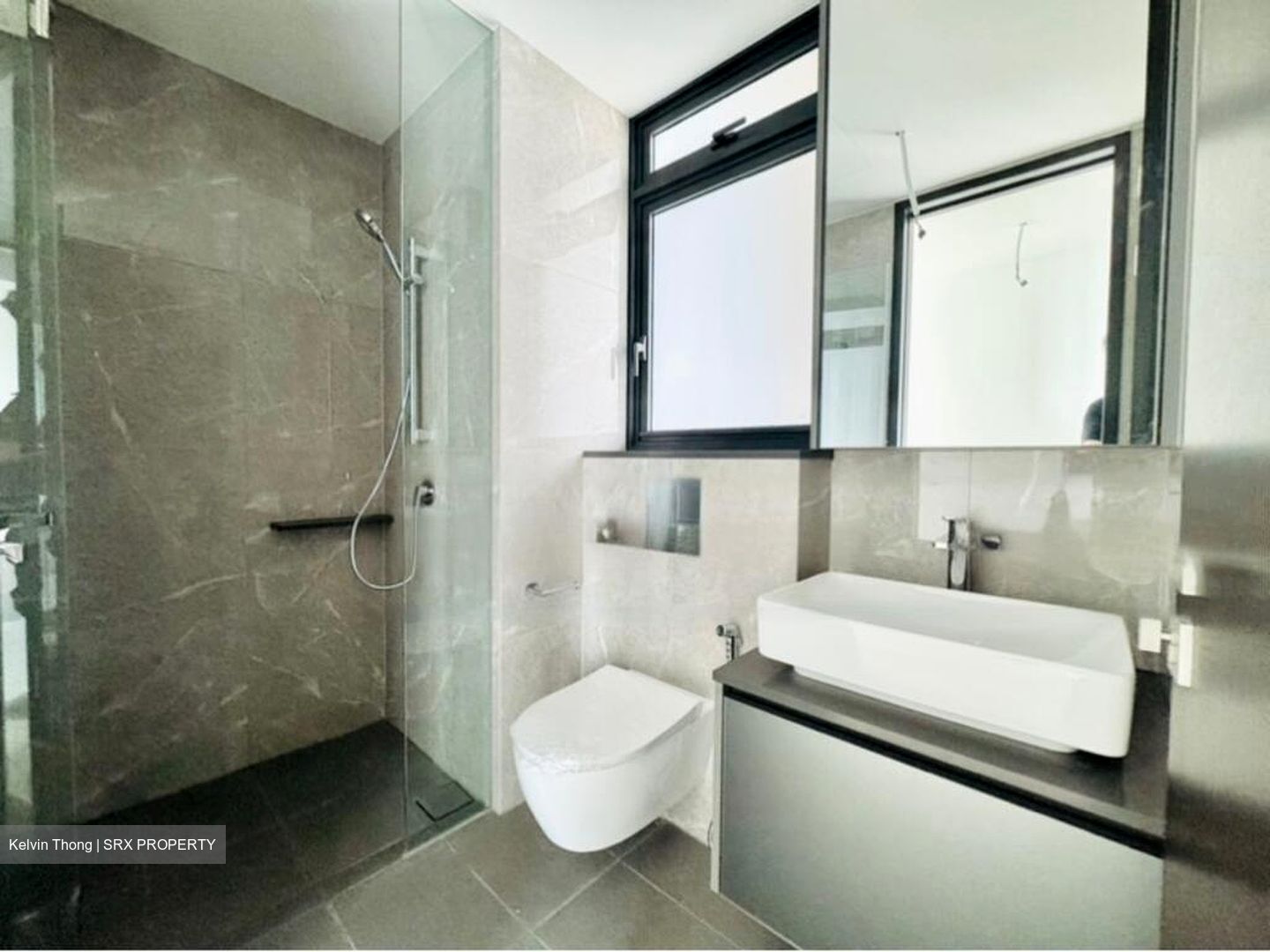 Irwell Hill Residences (D9), Apartment #480007201